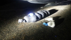 الشرطة: ضبط اكثر من نصف كلغم "سموم" واعتقال مشتبه في مدينة يافا 